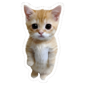 Cat sticker (250x250)