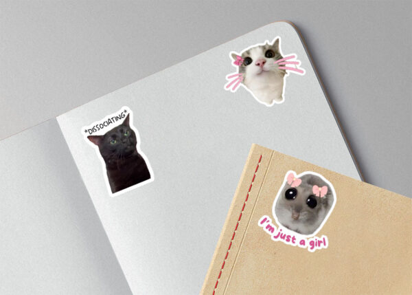 Laptop with notebook mockup(disscus+girl+cat)