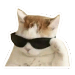 cool cat