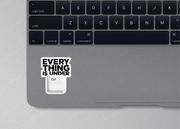 everything under control (laptop)