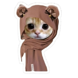 hijabi cat